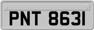 PNT8631