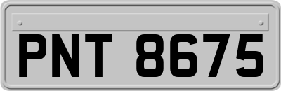 PNT8675