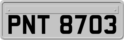 PNT8703