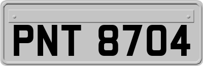 PNT8704