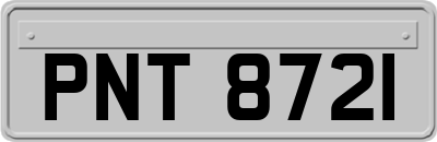 PNT8721
