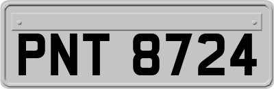 PNT8724