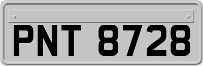 PNT8728