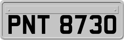 PNT8730