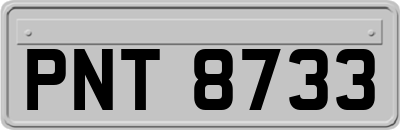 PNT8733
