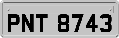 PNT8743