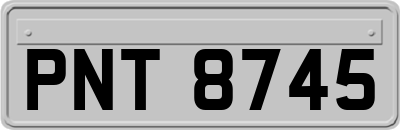 PNT8745