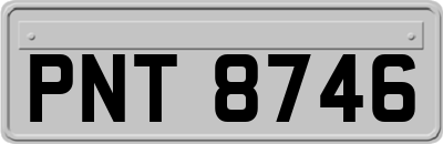 PNT8746