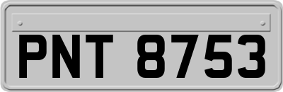 PNT8753