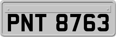 PNT8763
