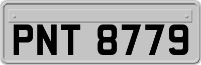 PNT8779