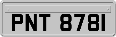 PNT8781