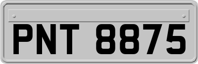 PNT8875
