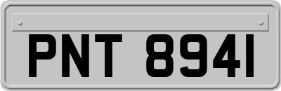 PNT8941