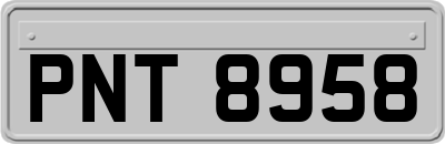 PNT8958