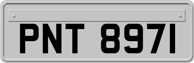 PNT8971