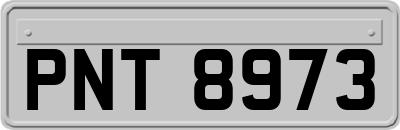 PNT8973
