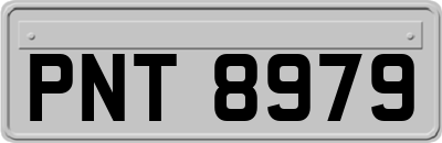 PNT8979