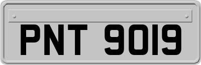 PNT9019