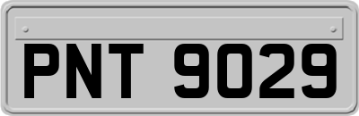 PNT9029