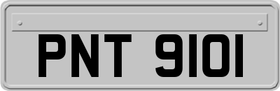 PNT9101
