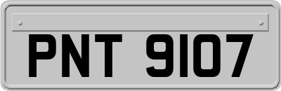 PNT9107