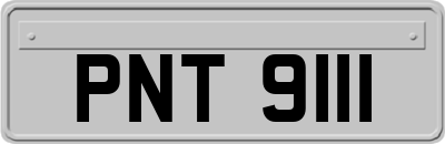 PNT9111