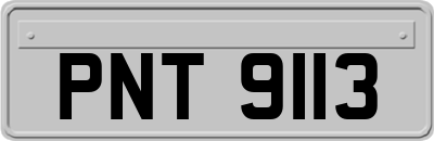 PNT9113