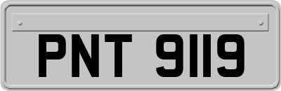 PNT9119