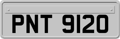 PNT9120