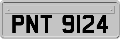 PNT9124