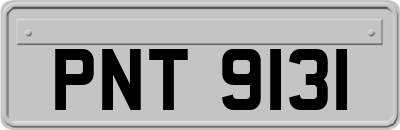 PNT9131