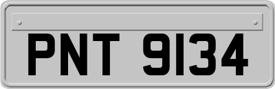 PNT9134