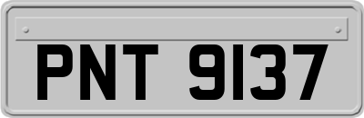 PNT9137