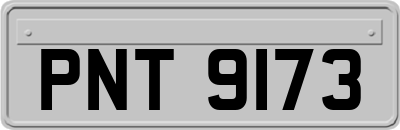 PNT9173