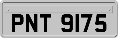 PNT9175