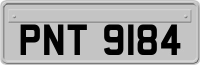 PNT9184