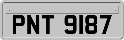 PNT9187