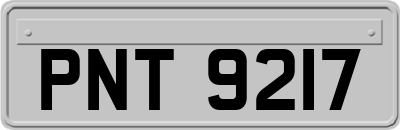 PNT9217