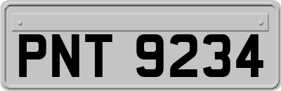 PNT9234