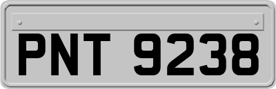 PNT9238