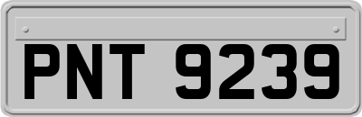 PNT9239