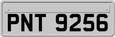 PNT9256