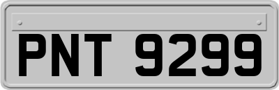 PNT9299