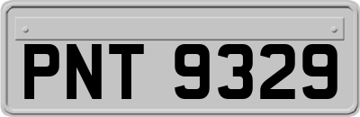 PNT9329