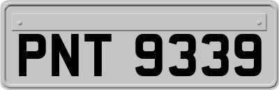 PNT9339