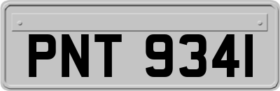 PNT9341