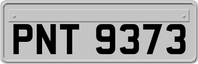 PNT9373