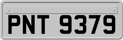 PNT9379
