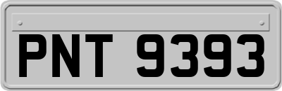 PNT9393